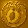 KAYSI Logo